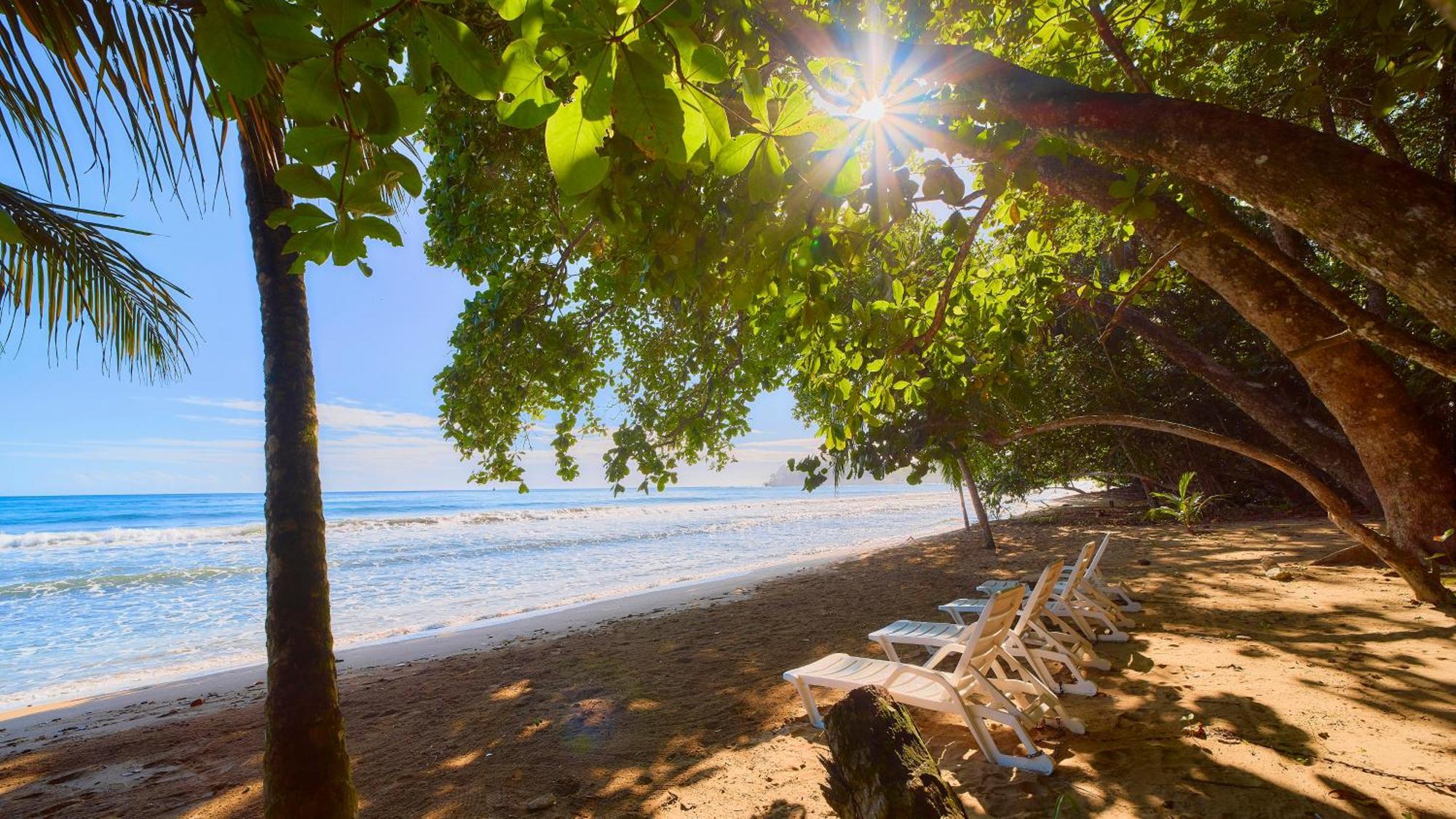 Dragonfly Beachfront Villas-Adult Only Пунта-Ува Екстер'єр фото