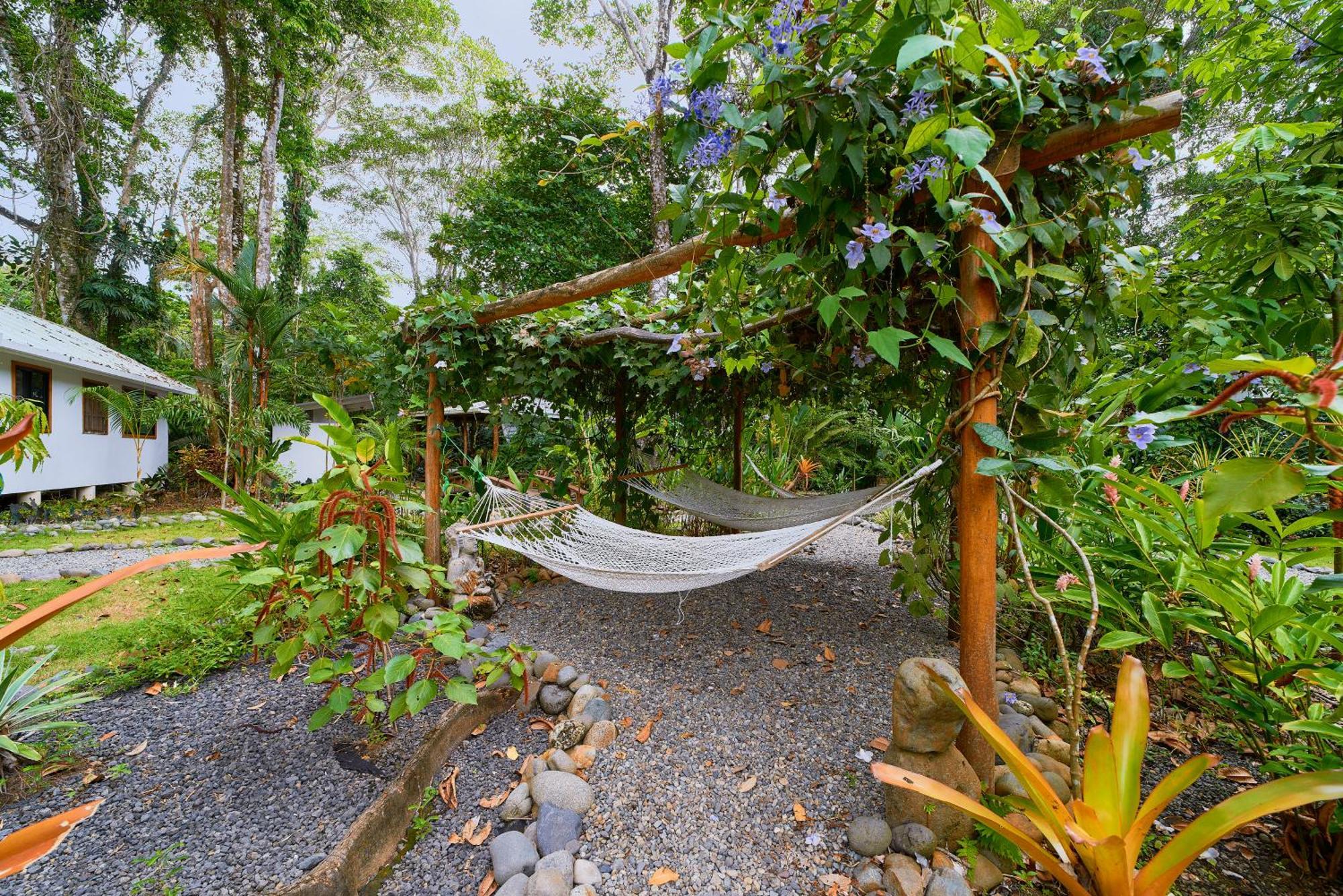 Dragonfly Beachfront Villas-Adult Only Пунта-Ува Екстер'єр фото